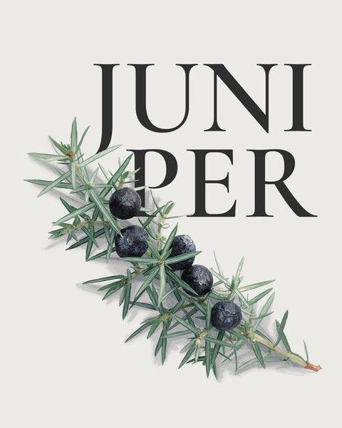Natural material: Juniper
